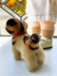 画像7: 仔犬のブリー　１０，５ｃｍ　シュタイフ　ブルドッグ　 (7)