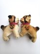 画像1: 仔犬のブリー　１０，５ｃｍ　シュタイフ　ブルドッグ　 (1)