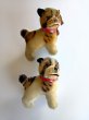 画像2: 仔犬のブリー　１０，５ｃｍ　シュタイフ　ブルドッグ　 (2)