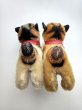 画像3: 仔犬のブリー　１０，５ｃｍ　シュタイフ　ブルドッグ　 (3)