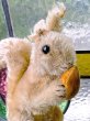 画像1: どんぐり抱いたリス　シュタイフ　ベージュモヘア　ヴィンテージ (1)