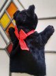 画像5: 黒猫の指人形　シュタイフ　ハンドパペット　 (5)