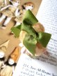 画像3: オールビスクドール　アンティークミニチュア　５，５ｃｍ　HERTWIG　人形遊び　ドールハウス　　　　　　 (3)
