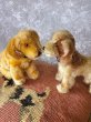 画像1: HAPPY PRICE！　仔犬ころころ　シュタイフドッグ　２匹いっしょに　ヴィンテージ (1)