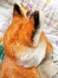 画像2: シュタイフのキツネ　指人形　ヴィンテージ　パペット (2)