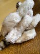 画像5: フルジョイントのしま猫　シュタイフキャット　小さいサイズ　ヴィンテージ (5)