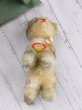 画像3: 猫のTUBBY 　ピスタチオグリーンのガラス目　シュタイフ　キャット (3)