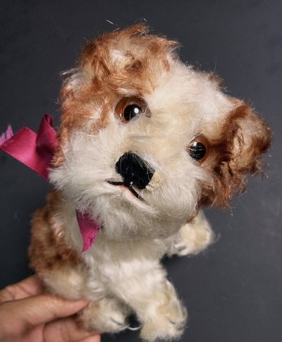 画像1: 仔犬のMOLLY　シュタイフドッグ　１５ｃｍ　ヴィンテージ
