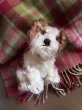 画像5: 仔犬のMOLLY　シュタイフドッグ　１５ｃｍ　ヴィンテージ (5)