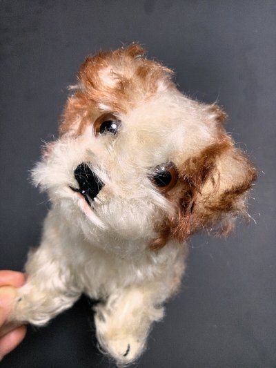 画像3: 仔犬のMOLLY　シュタイフドッグ　１５ｃｍ　ヴィンテージ