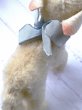 画像4: 子羊　LAMBY　シュタイフ　小さいサイズ (4)