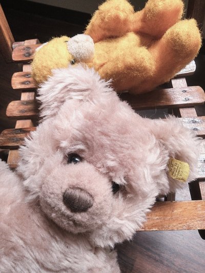 画像2: HAPPY PRICE！シュタイフのふかふかテディ　ドイツベア