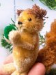画像5: ふさふさしっぽのリス　シュコー　ノアの箱舟　ドイツのミニチュア　 (5)