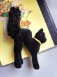 画像5: 目が点になってる黒猫さん　ブラック　トムキャット　小さいベルベット猫　シュタイフ (5)