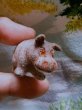 画像2: サバンナの動物　ベビーかばさん　WAGNER社　KUNSTLERSCHUTZ (2)