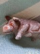 画像3: サバンナの動物　ベビーかばさん　WAGNER社　KUNSTLERSCHUTZ (3)