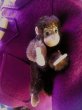 画像2: ベビーチンパンジー　Jocko　シュタイフ　小さいお猿さん (2)