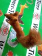 画像3: 森の動物　キツネ　ワグナー社　WAGNER　KUNSTLERSCHUTZ (3)