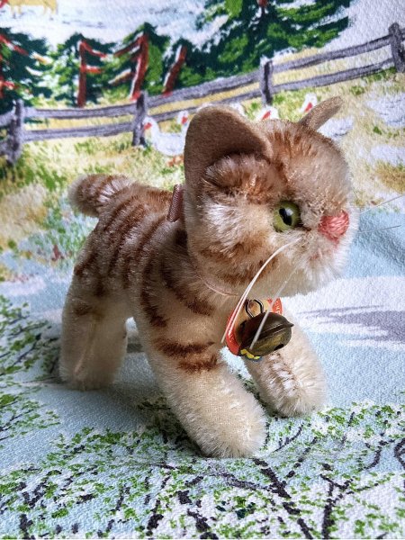 画像1: 鈴をさげた仔猫のタプシー　TAPSY　８ｃｍ　シュタイフのしま猫　 (1)