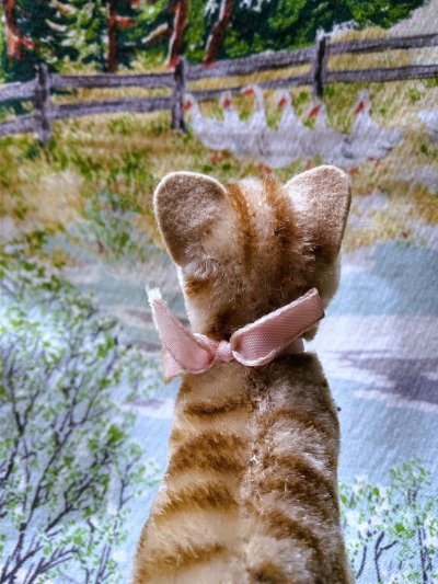 画像2: 鈴をさげた仔猫のタプシー　TAPSY　８ｃｍ　シュタイフのしま猫　