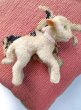 画像5: 緑の目をした子羊　LAMBY　シュタイフ　１０ｃｍ (5)