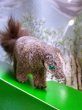 画像1: 森の動物　アナグマ　ワグナー　WAGNER　kunstlerschutz (1)