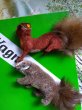 画像3: 森の動物　アナグマ　ワグナー　WAGNER　kunstlerschutz (3)