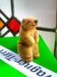 画像2: 森の動物　マーモット　ワグナー　トイアニマル　Kunstlerschutz 　MAX CARL (2)