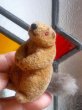 画像3: 森の動物　マーモット　ワグナー　トイアニマル　Kunstlerschutz 　MAX CARL (3)