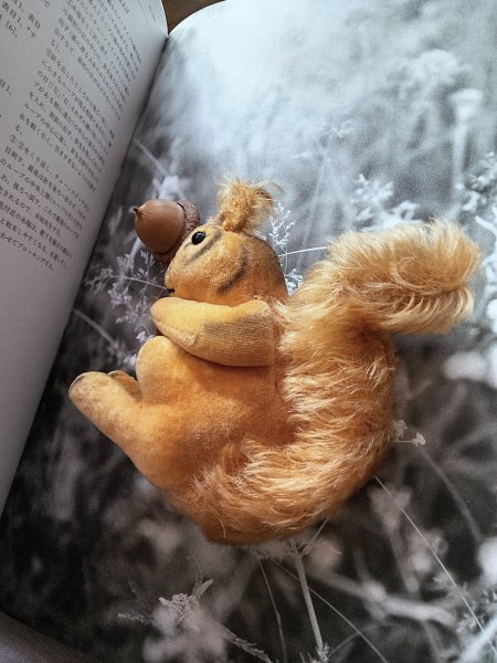 画像3: 冬じたくに忙しいリス ベルベット 9cm シュタイフ 50年代  (3)