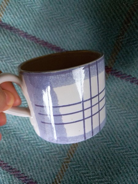 画像4: ブルーチェックのマグカップ　スモールサイズ　ANTA　 SCOTLAND (4)