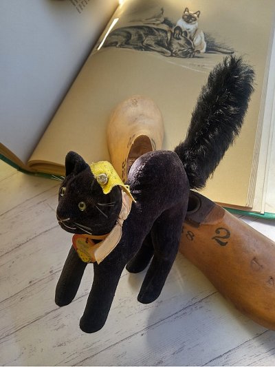 画像3: 目が点のベルベット猫　トムキャット　シュタイフ　ALL ID’ｓ　黒猫