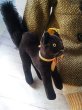 画像4: 目が点のベルベット猫　トムキャット　シュタイフ　ALL ID’ｓ　黒猫 (4)