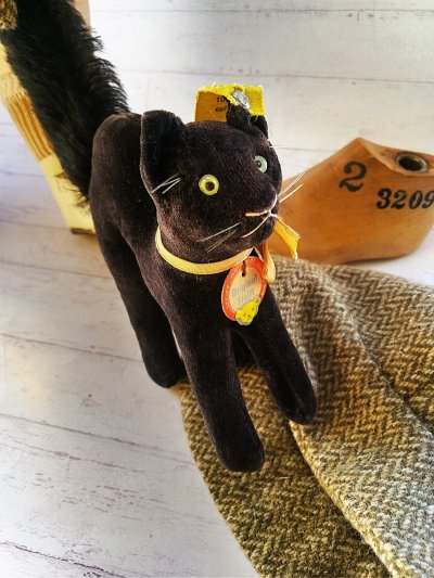 画像1: 目が点のベルベット猫　トムキャット　シュタイフ　ALL ID’ｓ　黒猫