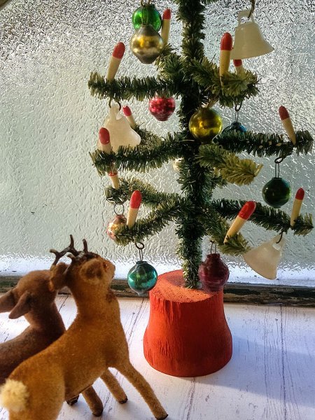 画像3: ドールサイズのクリスマスツリー　ドイツ　アンティークのもみの木　１． (3)