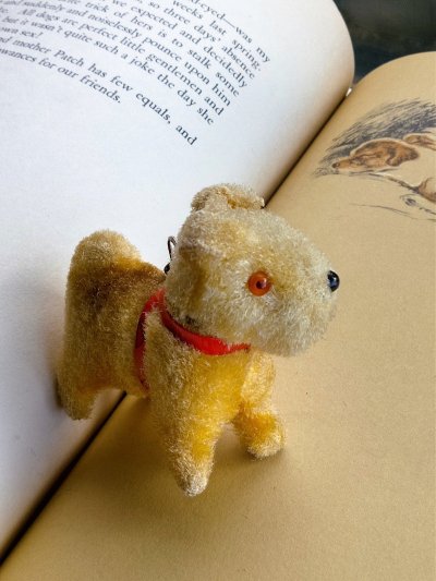 画像3: ハーネスつけたテリア　ドールとお散歩　ベストフレンド　A