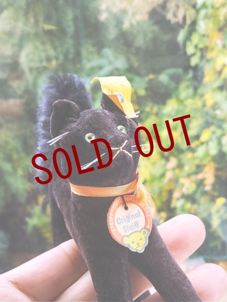 画像4: 目が点になってるベルベット猫　トムキャット　シュタイフ　ALL ID’ｓ　黒猫 (4)