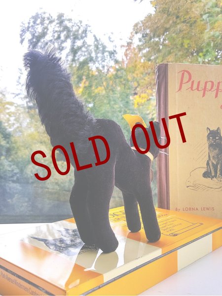 画像2: 目が点になってるベルベット猫　トムキャット　シュタイフ　ALL ID’ｓ　黒猫 (2)