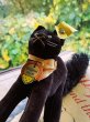 画像5: 目が点になってるベルベット猫　トムキャット　シュタイフ　ALL ID’ｓ　黒猫 (5)