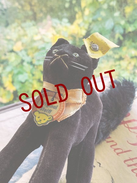 画像5: 目が点になってるベルベット猫　トムキャット　シュタイフ　ALL ID’ｓ　黒猫 (5)