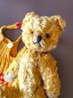 画像1: はちみつ色のこぐま　ヴィンテージ　ポーリッシュベア　５０年代 (1)