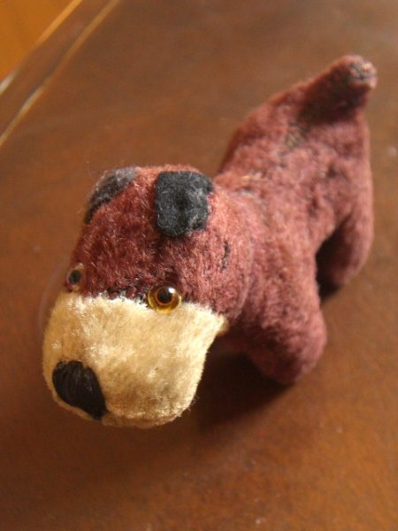画像1: 耳黒の子犬 (1)