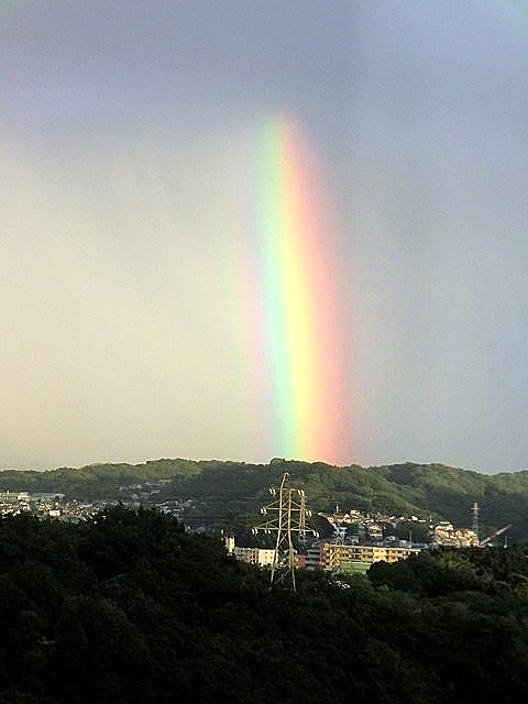   雨上がり  