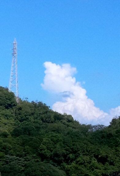   残暑お見舞い申し上げます  　