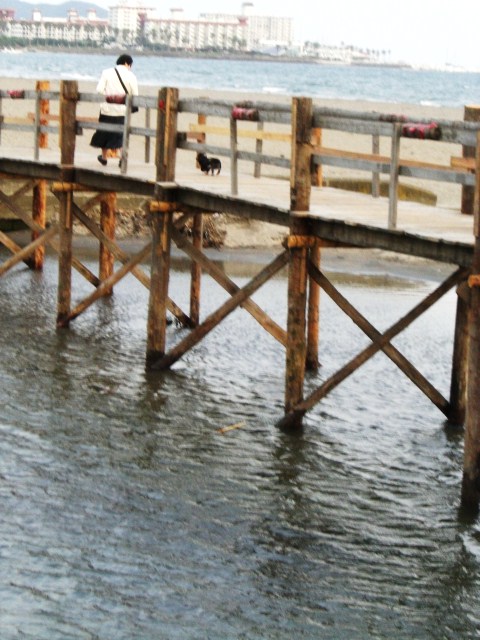 ６月１７日　浜は海開きにむけて大忙し