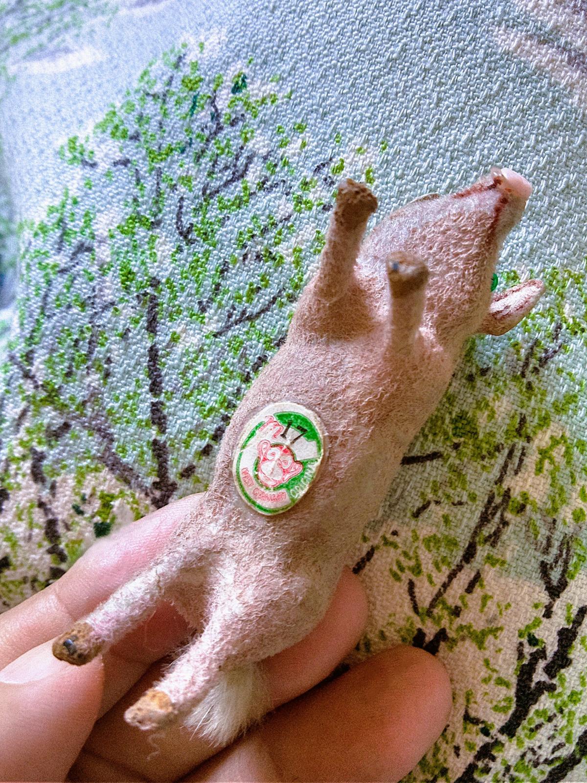緑の目をした豚さん お猿のラベル Künstlerschutz ワグナー社