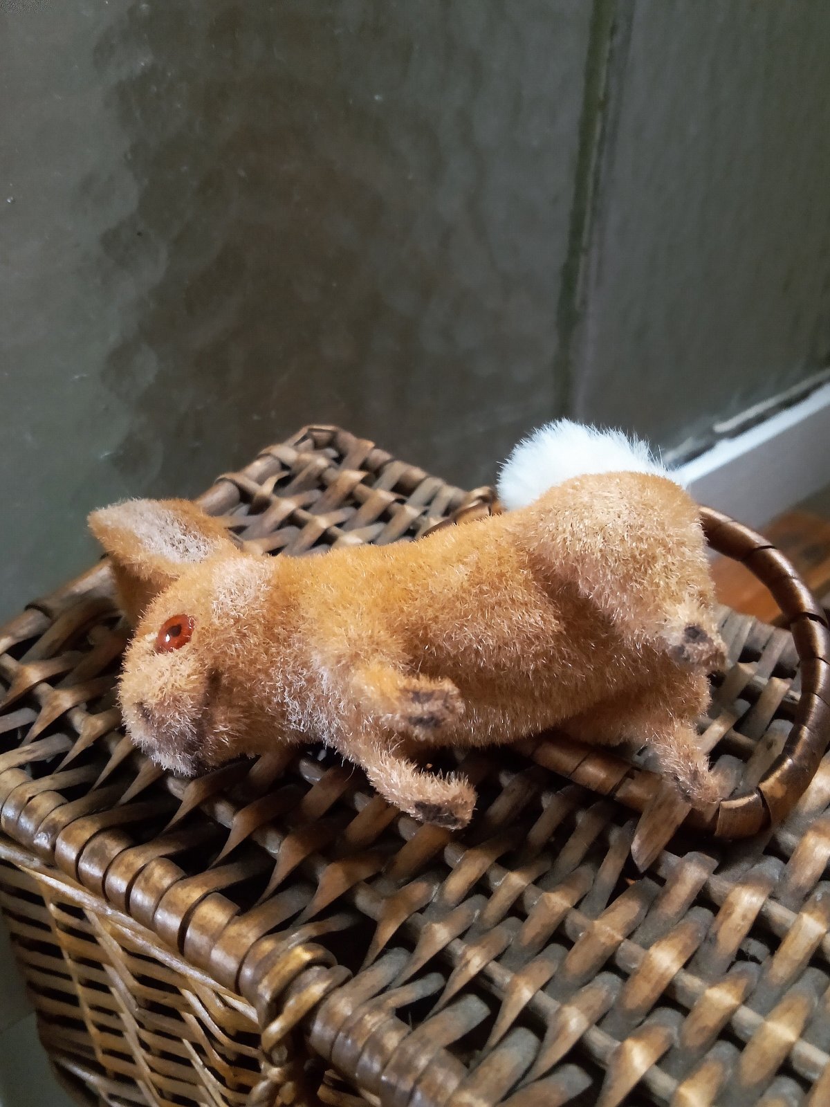 野うさぎ Wagner ラビット kunstlerschutz お月見できるかな