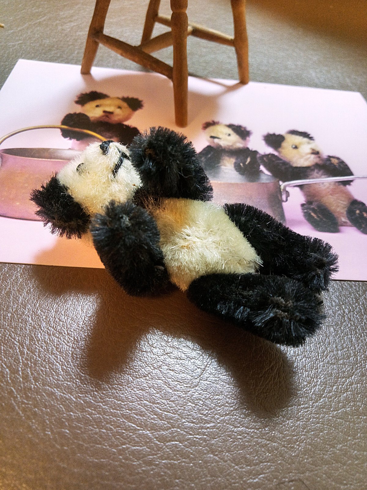 きっとあの子のお友達 ドイツのこぐま シュコー パンダ