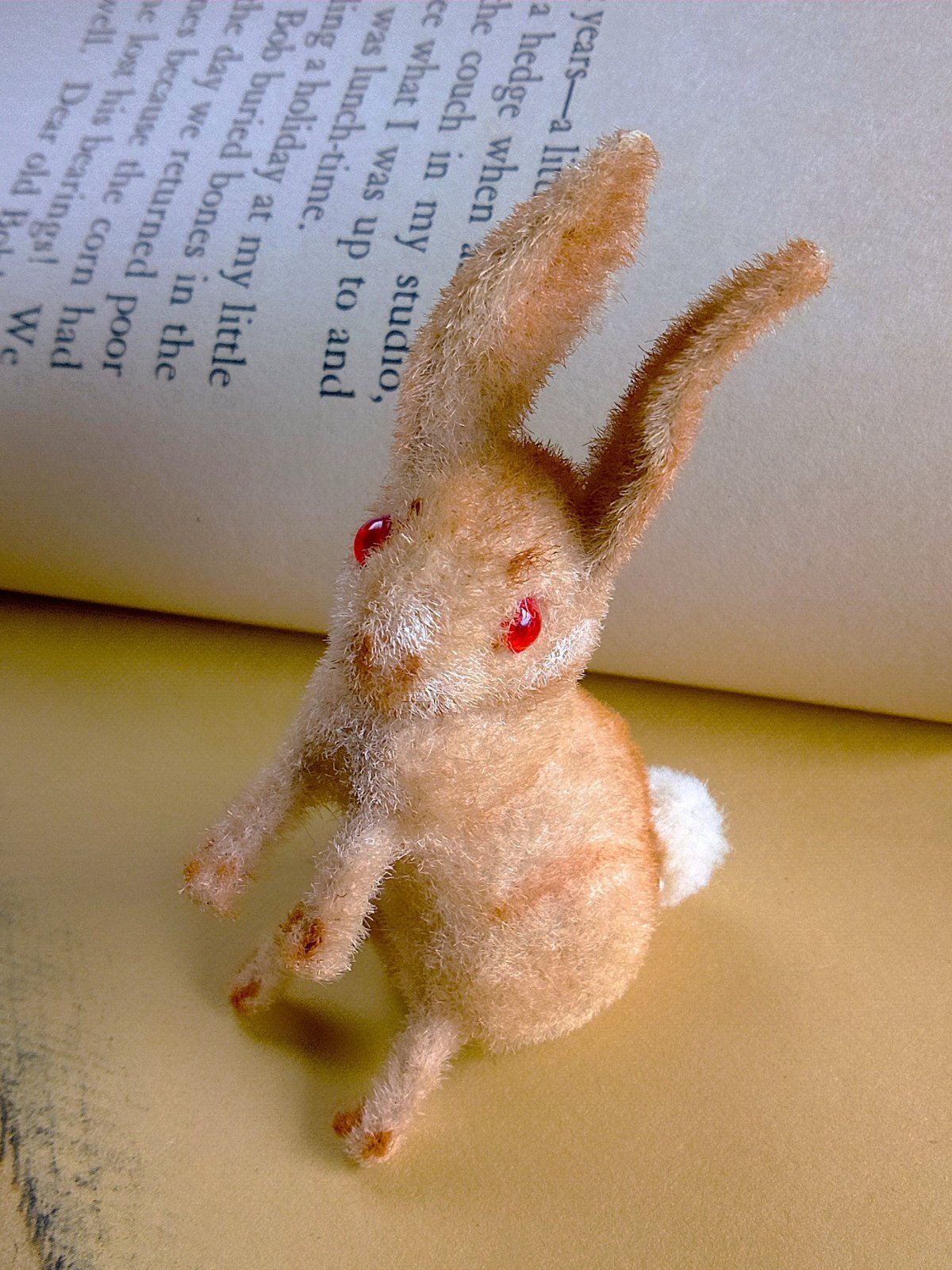 野うさぎ　Wagner　ラビット　kunstlerschutz　お月見できるかな お月見できたかな 野うさぎ 2. バニー ドイツ Wagner